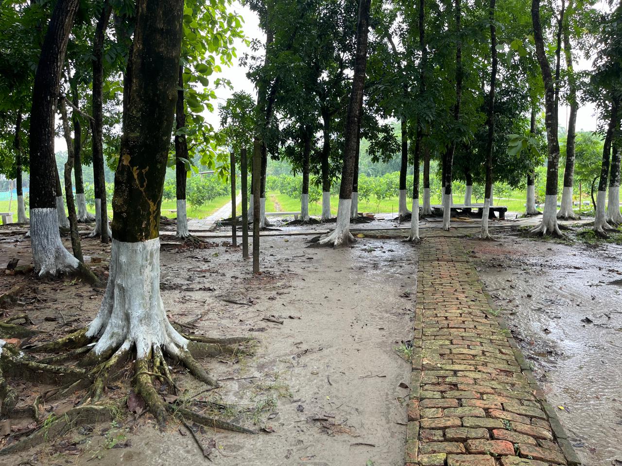 Park Photo 11