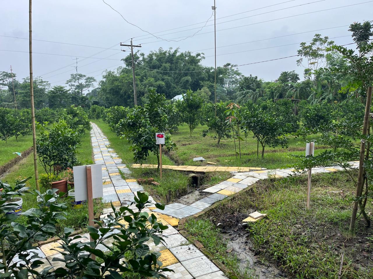 Park Photo 16